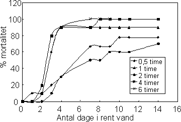 Figur 22. Forsinket mortalitet hos <em>Gammarus pulex</em> som følge af eksponering til 10 mg/l prochloraz i hhv. 0,5, 1, 2, 4 og 6 timer