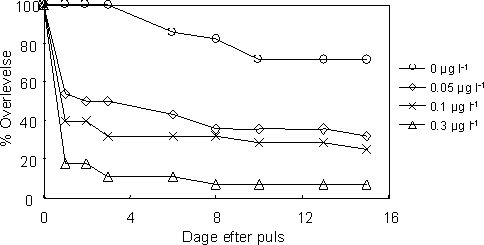 Figur 28. Overlevelse af reproducerende voksne G. pulex efter en 1-times pulseksponering ved følgende koncentrationsniveauer af esfenvalerat: 0, 0,05, 0,1 og 0,3 µg l-1.