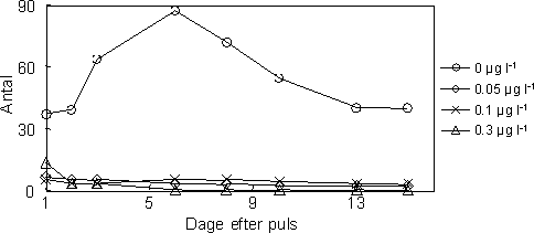 Figur 29. Antal overlevende unger produceret af voksne individer af G. pulex over en periode på to uger efter en 1-times pulseksponering til esfenvalerat ved følgende koncentrationsniveauer: 0, 0,05, 0,1 og 0,3 µg l-1.