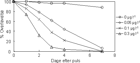 Figur 30. Overlevelse af nyligt producerede juvenile G pulex efter en 1-times pulseksponering til esfenvalerat ved følgende koncentrationsniveauer: 0, 0,05, 0,1 og 0,3 µg l-1.