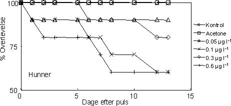 Figur 31. Overlevelse af reproducerende voksne G. pulex forstyrret fra præcopula ved separation og pulseksponering (1 time) til esfenvalerat ved følgende koncentrationer: 0, 0,05, 0,1, 0,3 og 0,6 g l-1. Der blev desuden anvendt en acetonekontrol. Hunner
