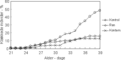 Figur 34. Procentvise kumulative andel af alle klækkede individer over en forsøgsperiode på 39 dage.