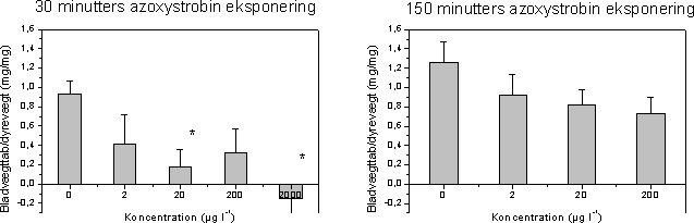 Figur 53 Nedbrydningen af detritus efter pulseksponering af G. pulex for azoxystrobin i hhv. 30 og 150 minutter er afbilledet som bladpladernes vægttab per mg dyr mod eksponeringskoncentration. Søjlediagrammerne angiver gennemsnittet af de 15 replikater med standard error. * indikerer at bladvægttabet er signifikant forskelligt fra kontrollerne (F-test, p<0,05)