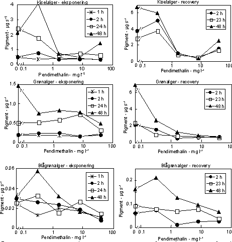 Effekt af pendimethalin på biomassen af kiselalger (øverst), grønalger (midt) og blågrønalger (nederst). Venstre kolonne: biomasse efter eksponering (1, 2 24 og 48 timer); højre kolonne: biomasse efter de eksponerede alger har været i rent vand i 48 timer. Forsøgene er udført om foråret i 2001.