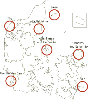 The seven pilot areas
