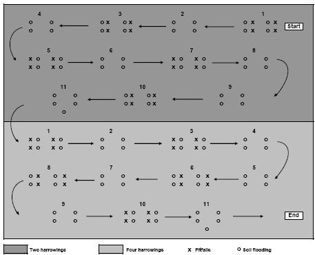 Figure 2.2. chematic diagram of the sampling design in a single experimental field. Pitfall sampling was carried out in 2004 only. Each plot was minimum 6 ha. Arrows indicate tramlines.