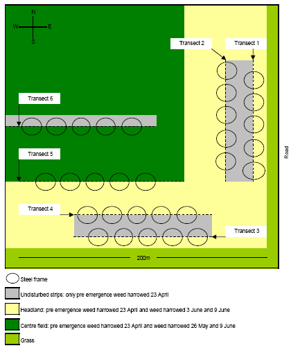 Figure 2.3. Illustration of the field arena experiments in the South-Eastern corner of an organic spring wheat field. The area was approximately 200 ´ 200 m². Two experiments were carried out, one from 3 - 5 June and one from 9 - 11 June. For the first experiment transects 1, 2, 4 and 5 were used and for the second experiments, transects 3, 4 and 6 were used. The steel frames were placed in such a way that the transects separated the area within the frames in halves with undisturbed soil and vegetation in one half and newly weed harrowed soil in the other half. For each experiment 100 frames were used.