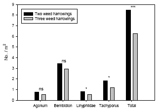 Figure 3.5. Estimated densities (Least-squares means based on the basic statistical model) of common polyphagous predators in spring wheat following three and four weed harrowings compared to simultaneous densities in two-harrowing plots. Notice the different scales on the ordinates. ns P > 0.05, *P < 0.05, **P < 0.01, ***P < 0.001.