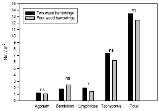Figure 3.6. Estimated densities (Least-squares means based on the full statistical model including covariates) of common polyphagous predators in spring wheat following three and four weed harrowings compared to simultaneous densities in two-harrowing plots. Notice the different scales on the ordinates. ns P > 0.05, *P < 0.05, ***P < 0.001.