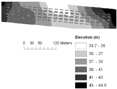 Figure 1. Mean elevation at Nissumgård in 2005.