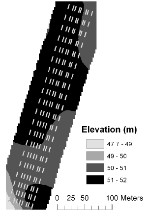 Figure 3. Mean elevation at Nissumgård in 2006.