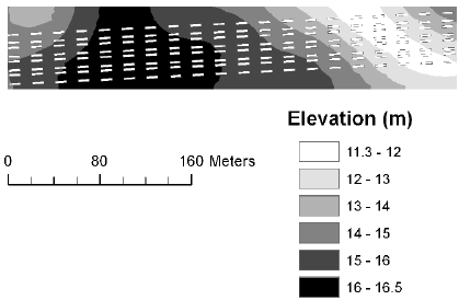 Figure 4. Mean elevation at Dybvad in 2006.
