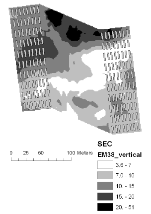 Figure 6. Soil electrical conductance measured with EM38 using vertical polarisation at Schackenborg in 2005.