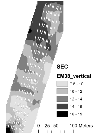 Figure 7. Soil electrical conductance measured with EM38 using vertical polarisation at Nissumgård in 2006.
