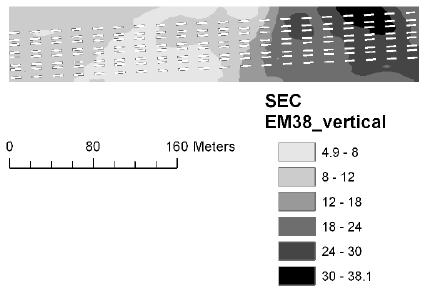 Figure 8. Soil electrical conductance measured with EM38 using vertical polarisation at Dybvad in 2006.