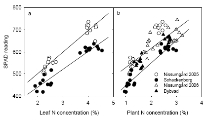Figure 20. Relation between SPAD reading and leaf N concentration (a) and above-ground plant N concentration (b) in the destructive plant samples at GS39. Regression lines are shown separately for Schackenborg and the other three sites jointly.