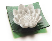 Photo: Aroma stone - lotus
