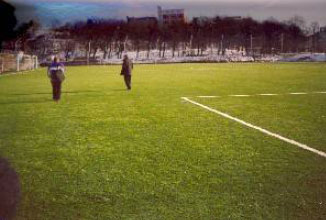 Figure 1.1 Outdoor artificial turf football pitch