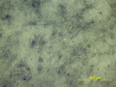 Figure 6.4 Picture of filtered-off particles on filter paper from leaching test with infill 15, enlarged