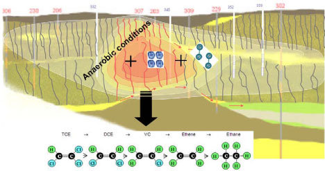 Figure 1.2 - Natural dechlorination under anaerobic conditions