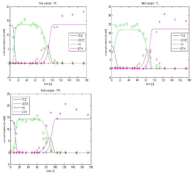 Figure 3.5 - Experimental data vs. simulated curves for lactate-amended culture, optimization only on X20