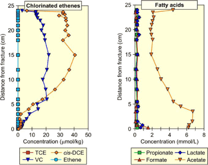 Figure 4.2 - Chlorinated solvents (left) and acids in clay core taken 5 months after injection