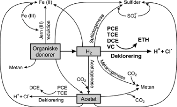 Figure B.1 – Schematic overview of anaerobic dechlorination and interaction with fermentative, reductive and methanogenic bacteria from [Jørgensen et al., 2005]