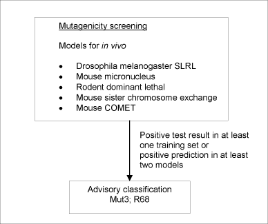Figure 1: Schematic diagram illustrating the systematic evaluation applied to assign advisory classifications for mutagenicity.