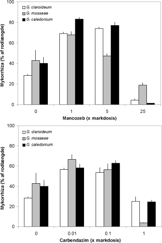 Figur 4.1. Effekt af forskellige doser af mancozeb og carbendazim på rodkolonisering hos ært dyrket med tre forskellige mykorrhizasvampe. Middelværdier og standardfejl er angivet.