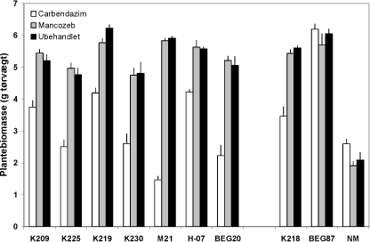 Figur 4.4. Effekt af mancozeb og carbendazim på biomasseproduktion hos M. truncatula dyrket i symbiose med 7 isolater af G. caledonium (K209-BEG20), G. mosseae (K218), G. intraradices (BEG87) eller uden mykorrhizapodning (NM). Middelværdier og standardfejl er vist. Effekten af svamp, af fungicidbehandling og interaktionen mellem de to faktorer var signifikant (P < 0,0001).