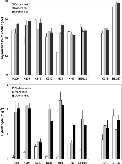 Figur 4.5. Effekt af mancozeb og carbendazim på mykorrhizaudvikling i rødder og i jord i symbioser mellem M. truncatula og 7 isolater af G. caledonium (K209-BEG20), G. mosseae (K218), G. intraradices (BEG87). Middelværdier og standardfejl er vist. Signifikansniveauer: mykorrhiza, P < 0,001 for fungicidbehandling og P< 0,0001for både svamp og interaktion; hyfelængde, P< 0,0001 for begge faktorer og for interaktionen.