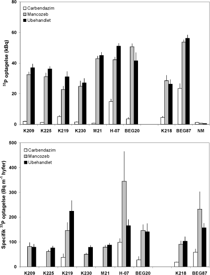 Figur 4.6. Effekt af mancozeb og carbendazim på mykorrhizasvampes totale og hyfelængde-specifikke optagelse og transport af 33P fra jord til M. truncatula, som blev dyrket i symbiose med 7 isolater af G. caledonium (K209-BEG20), G. mosseae (K218) eller G. intraradices (BEG87). Middelværdier og standardfejl er vist. Signifikansniveauer: 33P optagelse, P<0,0001 for begge faktorer og for interaktionen; specifik 33P optagelse, P<0,0001 for både svamp og fungicidbehandling og P<0,01 for interaktion.