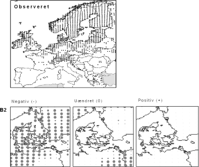 Figur 3.2 Langbladet Soldug (Drosera anglica). Øverst: Den observerede udbredelse iflg. Atlas Florae Europaeae. Nederst: Den forventede påvirkning i Danmark under B2-scenariet.