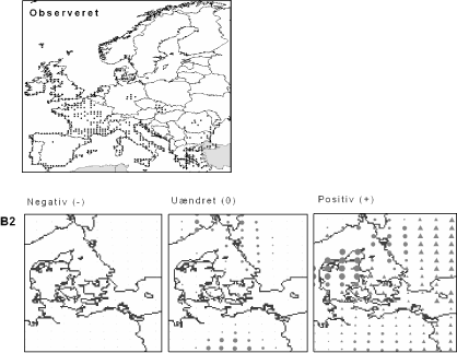 Figur 3.4 Hornskulpe (Glaucium flavum). Øverst: observerede udbredelse iflg. Flora Atlas Europaeae. Nederst: Den forventede påvirkning i Danmark.