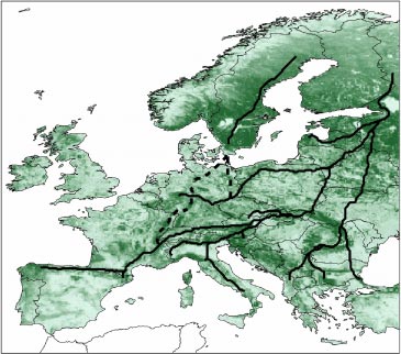 Figur 4.1 Mulige spredningskorridorer gennem Europa for skovlevende arter. Kortet viser tætheden af skov i dag. Linjerne går gennem de områder, hvor der i dag er mest skov og som derfor vil udgøre de vigtigste spredningskorridorer (fra Skov & Svenning 2004).