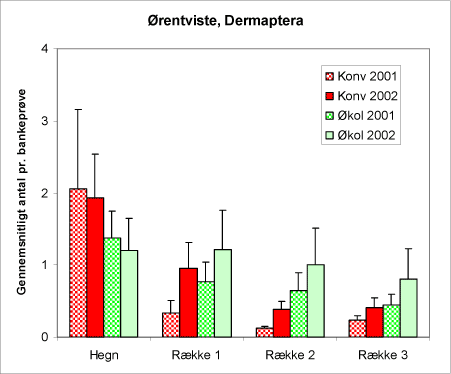 Figur 22. Antallet af ørentviste (Dermaptera) i bankeprøverne fra begge år og begge arealtyper.