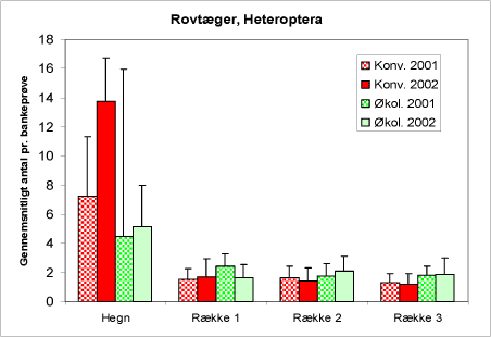 Figur 24. Forekomst af rovlevende tæger (Heteroptera) i bankeprøverne i begge år og på begge typer af arealer.