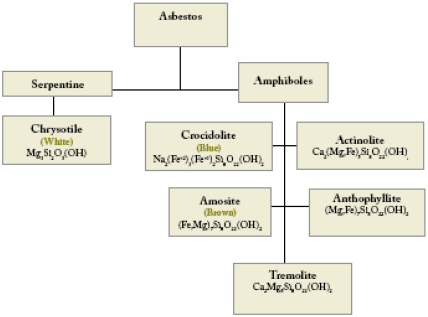 Figur 1 Oversigt over asbestmineraler (enHEALTH, 2005)