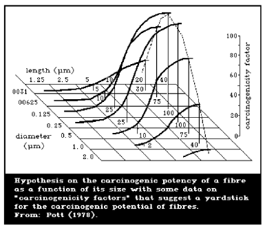 Figur 2 Variation af den kræftfremkaldende faktor for asbestfibre med længde og diameter af fiberen (INCHEM, 1986).