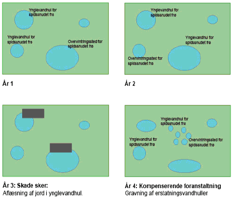 Figur 8.2 Forklaring på økologisk funktionalitet for en bestand af padder og et antal vandhuller.