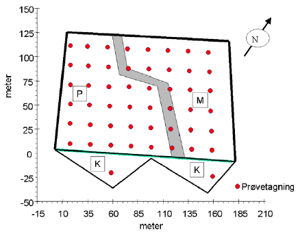 Figur 4 Prøveudtagning i pilotprojektet. Placering af demarkationsarealet (markeret med gråt) der adskiller de to felter med konventionel pesticidbehandling (P) og mekanisk baseret behandling (M). Prøveudtagninger er angiver med røde prikker (2 er placeret i kontrolområdet udenfor felterne)