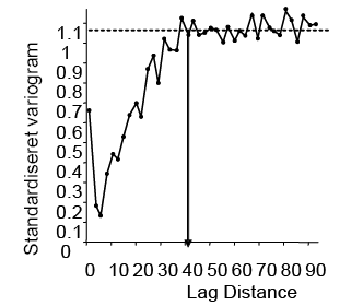 Figur 17 Semivariansanalyse af EM38 data. Pilen angiver estimeret Range til ca. 40 m