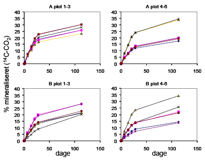Figur 51 Forløb af glyphosat mineralisering (dage) i A og B horisonter på felterne M (plot 1-3) og P (plot 4-6 ) vist som % af tilsat 14C-glyphosat