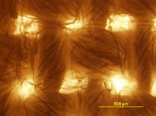 Figur 4.1 Optisk mikroskopibillede af det ufarvede bomuldsstof.