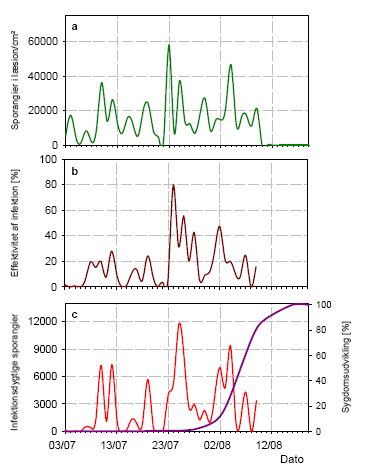 Figur 16. Produktion af sporangier, Bintje 2006 a) Antal sporangier/cm² i læsioner gennem sæsonen, b) Infektionsevne og c) Antallet af infektionsdygtige sporangier, beregnet som antal sporangier (a) ganget med infektionsevnen (b) divideret med 100.