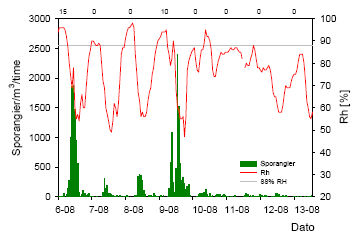 Figur 24. Sporangiefangster /m³/time i Oleva felt, 2005 sammenholdt med luftfugtigheden, Rh (Rød kurve). Reference-linien på 88% er angivet som grænsen for timer, som medregnes til beregning af risiko for sporulering (HSPO risikotimer). Antallet af risikotimer for sporulering er angivet over figuren for de enkelte dage.