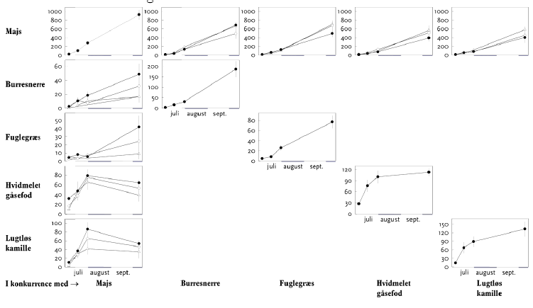 Figur 3.4. Vækst af afgrøde og ukrudt i majs 2006. I rækkerne vises hver plantearts vækst gennem sæsonen enten alene (diagonalt) eller i konkurrence med afgrøden. Ukrudt i høj (·), mellem (o) eller lav tæthed (r) jf. tabel 3.4. Overjordisk tørvægt (g pr. 0,5 m²) vist som gns.±s.e.