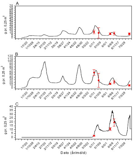 Figur 3.40. Sammenligning imellem simuleringer (linier) og punktobservationer (gns.±s.e.) af vækst af fåresvingel (A), alm. hvene (B) og kvik (C) uden glyphosatpåvirkning.