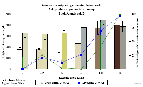Figur 5. Resultater af HWR testkit på frøfremspiret mælkebøtte behandlet med glyphosat (360 g/ha). Procentuel reduktion i friskvægt (grøn kurve) og tørvægt (blå kurve) 24 uger efter behandling er vist sammen med farvereaktionen på stick A (venstre søjler) og stick B (højre søjler).