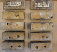 Examples of untreated specimens from Skagen